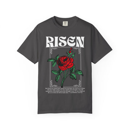 Risen 1 Corinthians 15-20 15-22